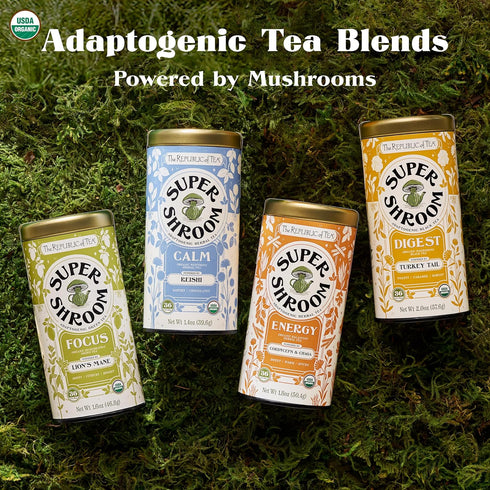 36 Count The Republic of Tea SuperShroom Calm Reishi Herbal Tea, Organic Rooibos, Cocoa and Dandelion Root Blend, Low