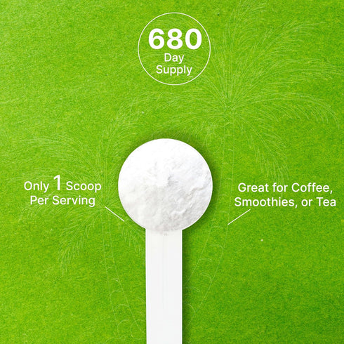 DEAL SUPPLEMENT 3lbs Unsweetened Organic Coconut Milk Powder, Dairy Free Creamer Alternative Sugar Free Raw Flavor Rich