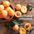 6 (Pack 4) Mariani | Ultimate Dried Apricots | Healthy Snacks for Kids & Adults | Dried Fruit | Vegan Snacks | Gluten