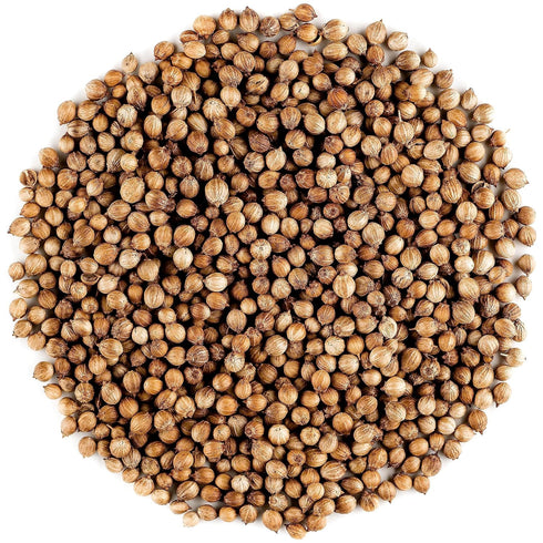 Coriander Seed Organic Gourmet Quality - Cilantro Seeds for Elevating Dishes