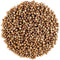 Coriander Seed Organic Gourmet Quality - Cilantro Seeds for Elevating Dishes