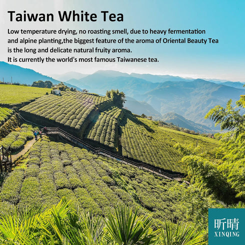 75g Xin Qing White Oolong Tea - Oriental Beauty High Mountain Loose Leaf Tea