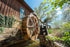 (10 lb), Homestead Gristmill Non-GMO, Chemical-Free, All-Natural Stone-ground Sifted Red Wheat Flour Artisanally Milled