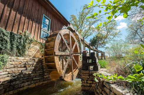 (10 lb), Homestead Gristmill Non-GMO, Chemical-Free, All-Natural, Stone-ground Sifted White Wheat Flour Artisanally