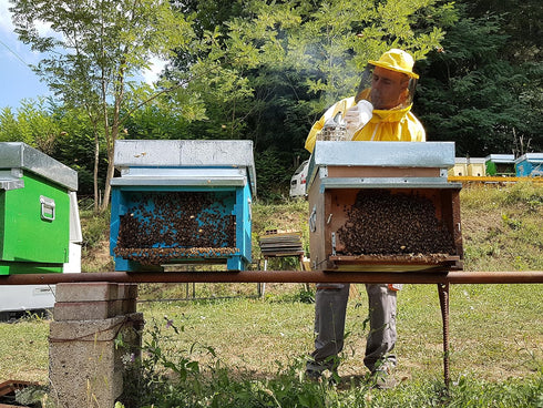 8.8 oz (250g) Giannetti Artisans Unpasteurized Chestnuts Honey from Tuscany, Italy - Artisan Produced
