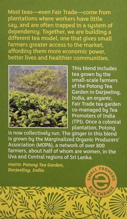 Equal Exchange Organic Green Tea with Ginger, 20 Count
