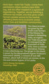 Equal Exchange Organic Green Tea with Ginger, 20 Count