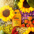 16 oz 100% Local Hive Midwest Raw & Unfiltered | Pure U.S. Honey | Natural Sweetener Sourced from American Bees