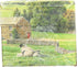 40 Count Taylors Of Harrogate, Tea Yorkshire