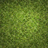 5 oz Birch & Meadow of Spinach Flakes, Seasonings & Soups, Grains & Breads