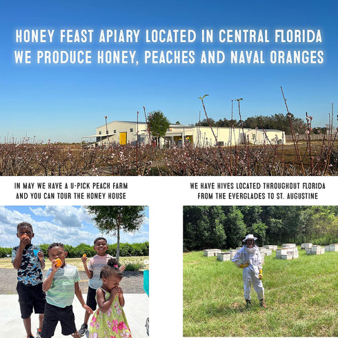 Packed 12 HONEY FEAST Organic Cinnamon Honey - Raw and Cold - Ounces - Small Batch Beekeeper Honey