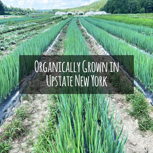 100% Gourmend Foods Organic Green Onion Powder Certified Low FODMAP Onion Substitute, Filler Free, Gluten Free