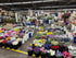 15 Pink Wax flower Fresh Cut Flowers Good flowering period Long flowering period Next day delivery Fresh Delivery