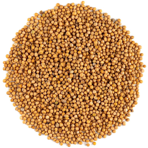 Yellow Mustard Seeds Whole - White Mustard Seed Spicy Ingriedient - Whole