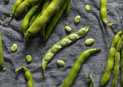 5 Food to Live Organic Fava Bean Flour, Pounds Non-GMO, Finely Ground, Pure, Raw, Vegan, Bulk. Good Source of Protein