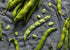 5 Food to Live Organic Fava Bean Flour, Pounds Non-GMO, Finely Ground, Pure, Raw, Vegan, Bulk. Good Source of Protein