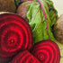 6 Kejora Fresh Beets pcs