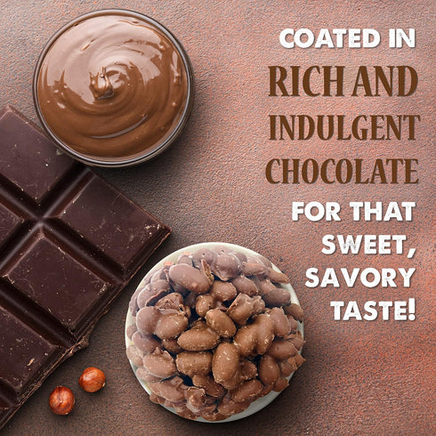 The 1949 Nut Co. 10 oz. Chocolate Covered Virginia Style Peanuts | Oil Roasted Fried with a Unique Crispy Crunch |