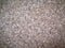 Organic Rolled Oats: Fresh Cold Rolled Raw Hulless Oats, Farmer Direct, non-GMO