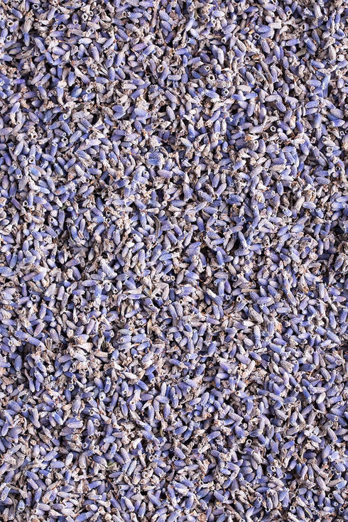 100% 100% Albanian 4oz Organic Lavender Tea | Certified Organic | Food Grade Dried Lavender Flowers | Perfect for Tea