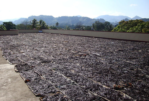 Vanilla Products USA 25 Whole Madagascar Bourbon Planifolia Extract Grade B Vanilla Beans