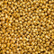 Smarty Stop Chickpea (Double Roasted, 5 Pound (Pack of 1))
