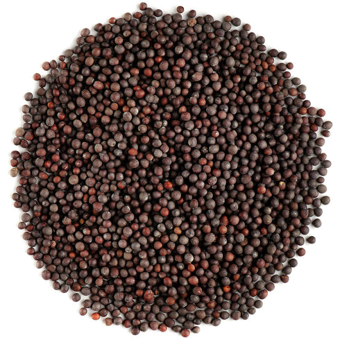 Black Mustard Seeds Whole Organic - Brown Mustard Seed Spicy Ingriedient -