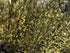 ForagedWild SUBALPINE Mormon Tea Wildcrafted 1/4lb Mormon Tea - Brigham Tea - Ephedra | USA Wildcrafted Dried Subalpine
