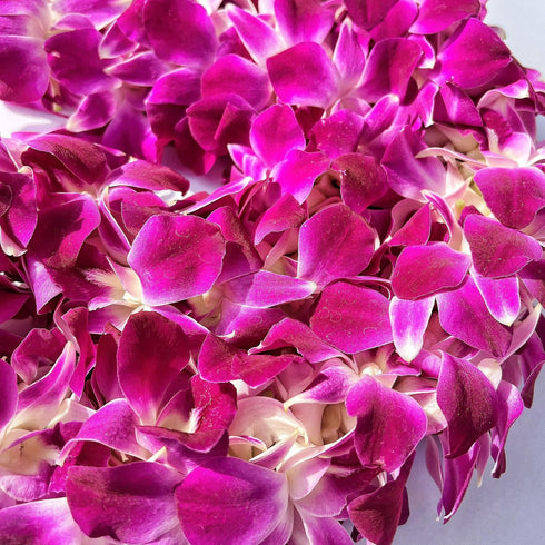 100 (2 box@50 Fresh Purple Dendrobium Orchids Individual blossoms ct pcs). For Cake Decorating and Garnishes